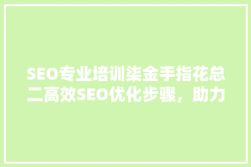 SEO专业培训柒金手指花总二高效SEO优化步骤，助力网站排名提升