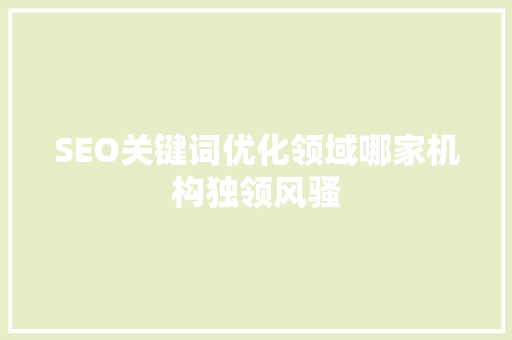 SEO关键词优化领域哪家机构独领风骚