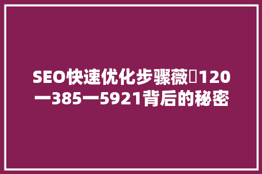 SEO快速优化步骤薇伈120一385一5921背后的秘密