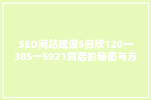 SEO网站建设5薇欣120一385一5921背后的秘密与方法