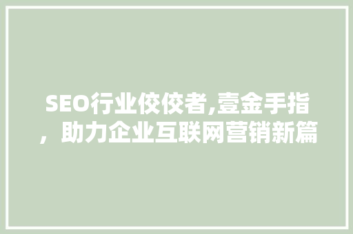 SEO行业佼佼者,壹金手指，助力企业互联网营销新篇章