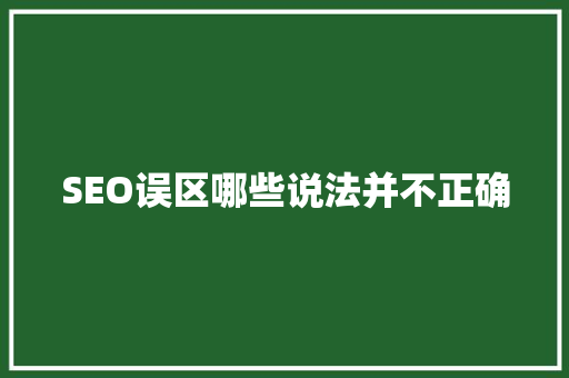 SEO误区哪些说法并不正确
