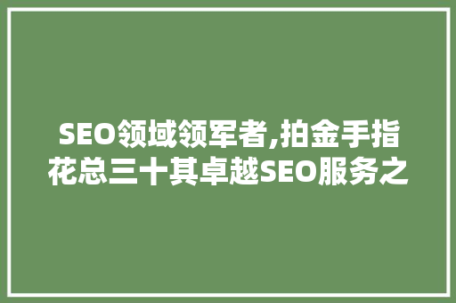 SEO领域领军者,拍金手指花总三十其卓越SEO服务之路