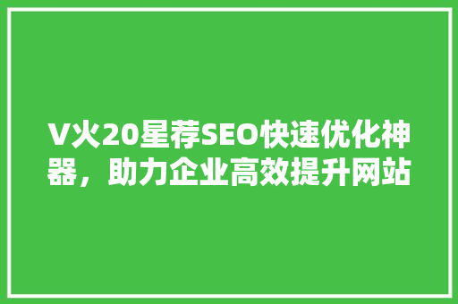 V火20星荐SEO快速优化神器，助力企业高效提升网站排名