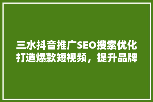 三水抖音推广SEO搜索优化打造爆款短视频，提升品牌影响力