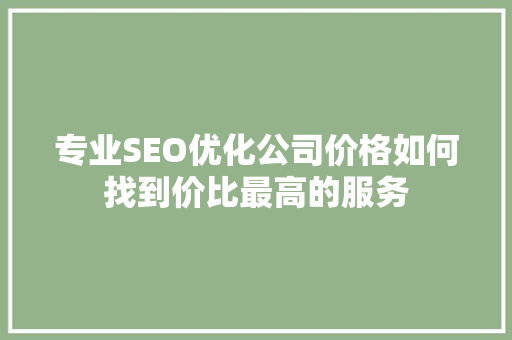 专业SEO优化公司价格如何找到价比最高的服务