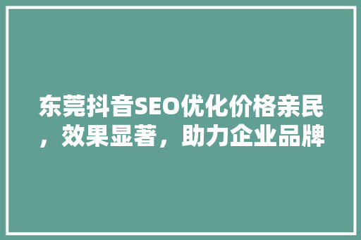 东莞抖音SEO优化价格亲民，效果显著，助力企业品牌腾飞