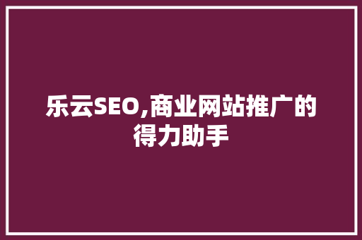 乐云SEO,商业网站推广的得力助手