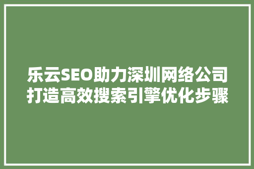 乐云SEO助力深圳网络公司打造高效搜索引擎优化步骤