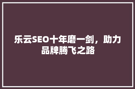 乐云SEO十年磨一剑，助力品牌腾飞之路