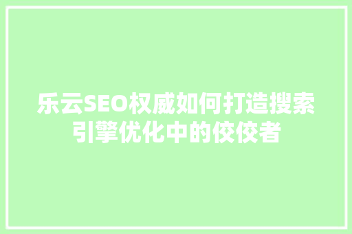 乐云SEO权威如何打造搜索引擎优化中的佼佼者