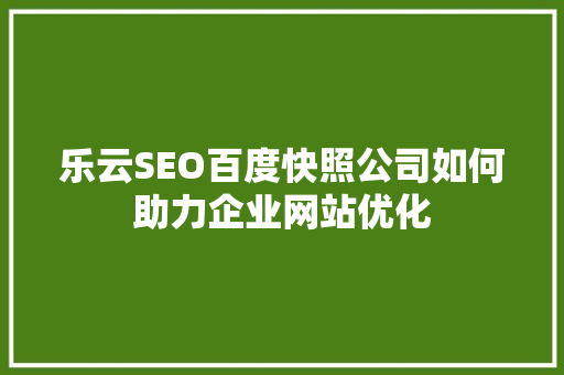乐云SEO百度快照公司如何助力企业网站优化