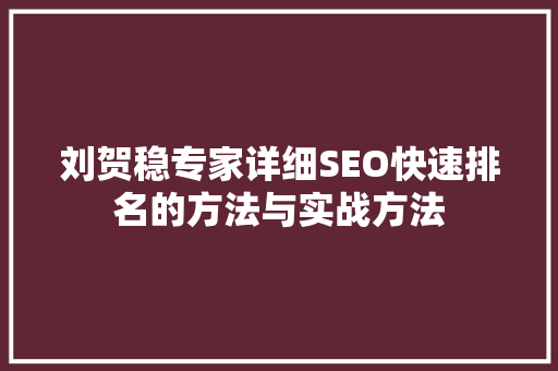 刘贺稳专家详细SEO快速排名的方法与实战方法