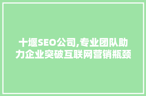 十堰SEO公司,专业团队助力企业突破互联网营销瓶颈