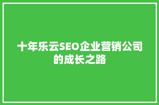 十年乐云SEO企业营销公司的成长之路