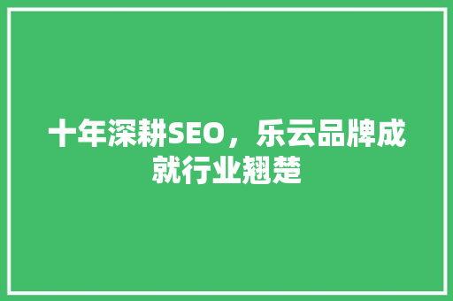 十年深耕SEO，乐云品牌成就行业翘楚