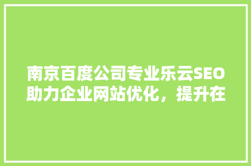 南京百度公司专业乐云SEO助力企业网站优化，提升在线竞争力
