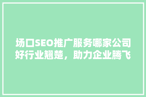场口SEO推广服务哪家公司好行业翘楚，助力企业腾飞