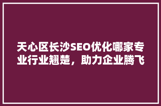 天心区长沙SEO优化哪家专业行业翘楚，助力企业腾飞