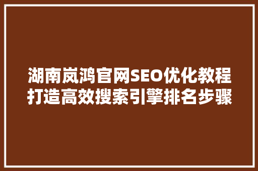 湖南岚鸿官网SEO优化教程打造高效搜索引擎排名步骤
