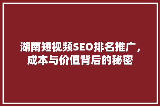 湖南短视频SEO排名推广，成本与价值背后的秘密
