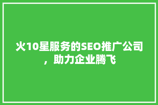 火10星服务的SEO推广公司，助力企业腾飞
