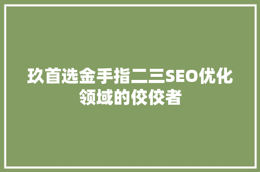 玖首选金手指二三SEO优化领域的佼佼者