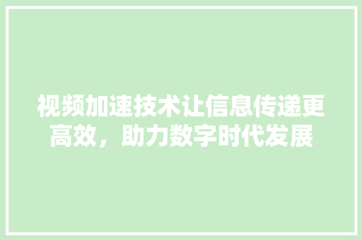 视频加速技术让信息传递更高效，助力数字时代发展