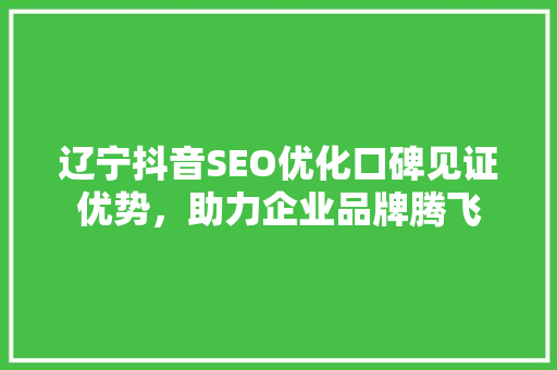 辽宁抖音SEO优化口碑见证优势，助力企业品牌腾飞