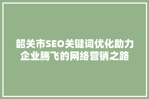 韶关市SEO关键词优化助力企业腾飞的网络营销之路