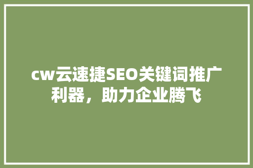 cw云速捷SEO关键词推广利器，助力企业腾飞