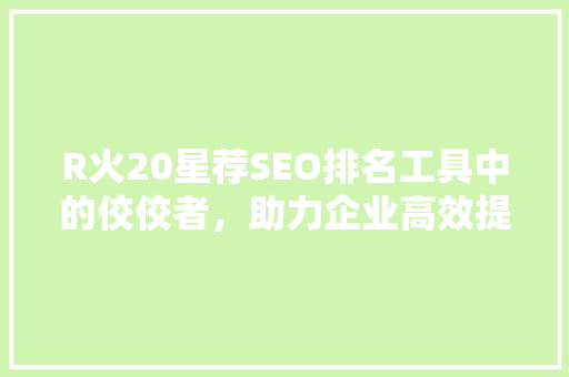 R火20星荐SEO排名工具中的佼佼者，助力企业高效提升网站排名