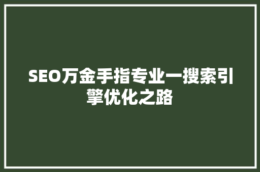 SEO万金手指专业一搜索引擎优化之路