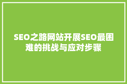 SEO之路网站开展SEO最困难的挑战与应对步骤