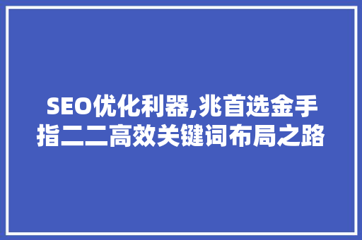 SEO优化利器,兆首选金手指二二高效关键词布局之路