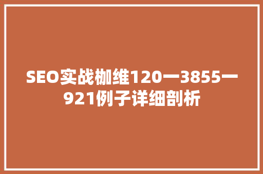 SEO实战枷维120一3855一921例子详细剖析