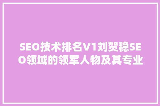 SEO技术排名V1刘贺稳SEO领域的领军人物及其专业方法