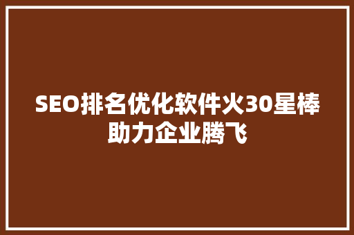 SEO排名优化软件火30星棒助力企业腾飞