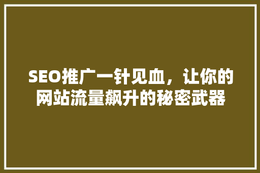 SEO推广一针见血，让你的网站流量飙升的秘密武器