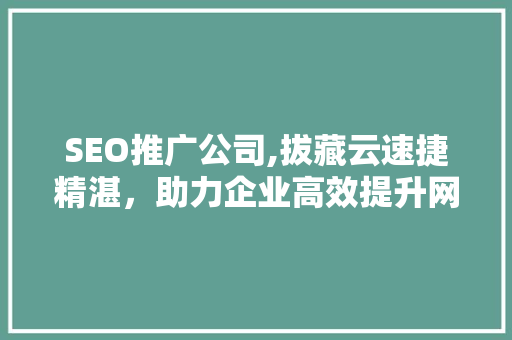 SEO推广公司,拔藏云速捷精湛，助力企业高效提升网络曝光