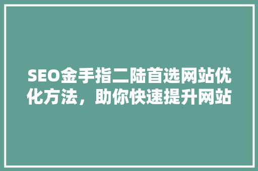 SEO金手指二陆首选网站优化方法，助你快速提升网站排名