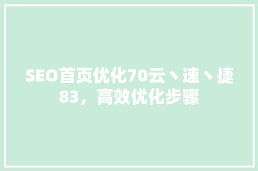 SEO首页优化70云丶速丶捷83，高效优化步骤
