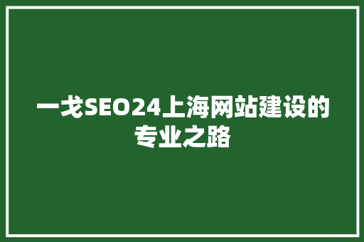 一戈SEO24上海网站建设的专业之路