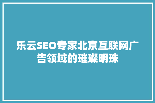 乐云SEO专家北京互联网广告领域的璀璨明珠