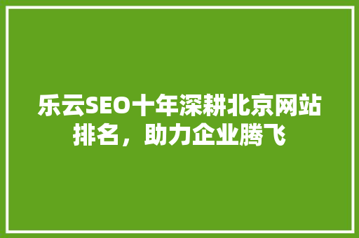 乐云SEO十年深耕北京网站排名，助力企业腾飞