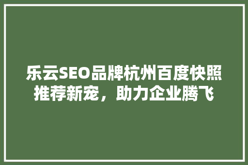 乐云SEO品牌杭州百度快照推荐新宠，助力企业腾飞