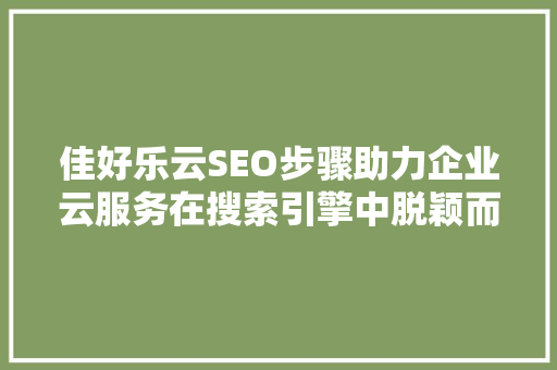 佳好乐云SEO步骤助力企业云服务在搜索引擎中脱颖而出