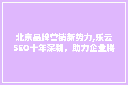 北京品牌营销新势力,乐云SEO十年深耕，助力企业腾飞