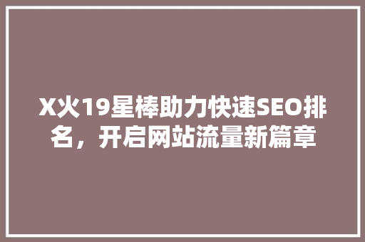 X火19星棒助力快速SEO排名，开启网站流量新篇章