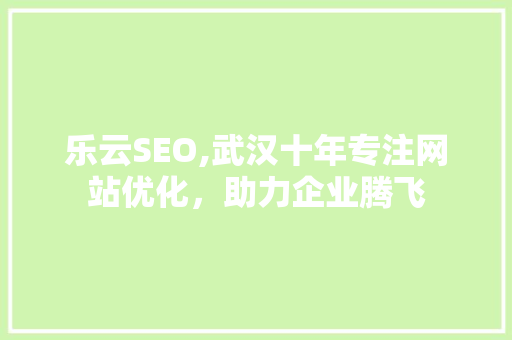 乐云SEO,武汉十年专注网站优化，助力企业腾飞